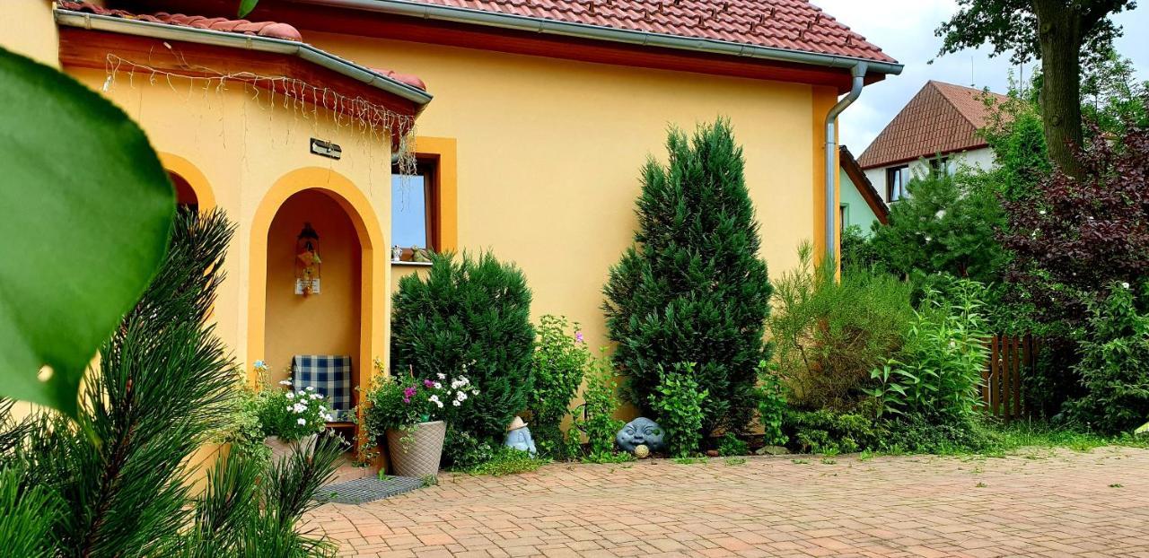 Penzion U Sykoru Trebon Exterior photo